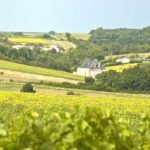 Landschaft Charente