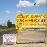 Hausbooturlaub in Südfrankreich in der Camargue: Wein
